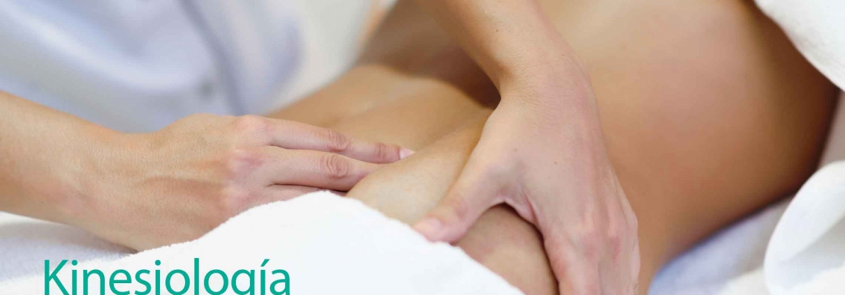 Kinesiología Clínica La Parva